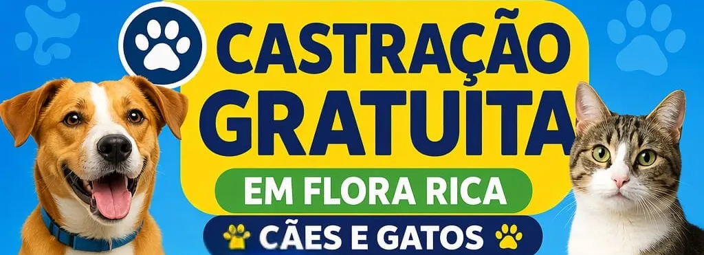   Castra Bus chega ao município com  castração gratuita de cães e gatos
