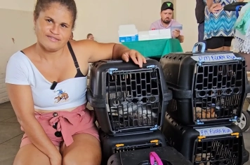   Mais de 120 animais castrados pelo programa Pro Pet