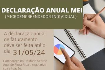 Declaração Anual MEI - Microempreendedor Individual