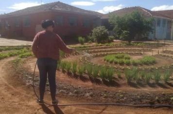 O projeto horta da Escola Armando Lopes Moreno já está dando resultados
