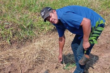 667 árvores nativas são plantadas no Distrito Industrial