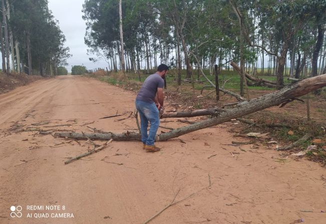 Setor de Estradas segue recuperando estragos da ventania de quarta-feira