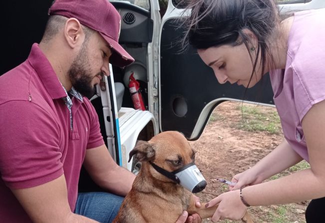 Ação conjunta de coleta de sangue e vacinação garante mais prevenção e saúde aos animais 