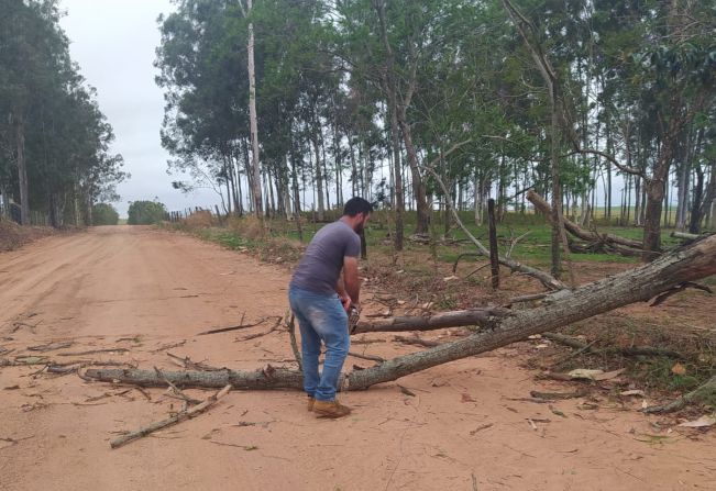 Defesa Civil realiza inspeções nas áreas afetadas pela ventania