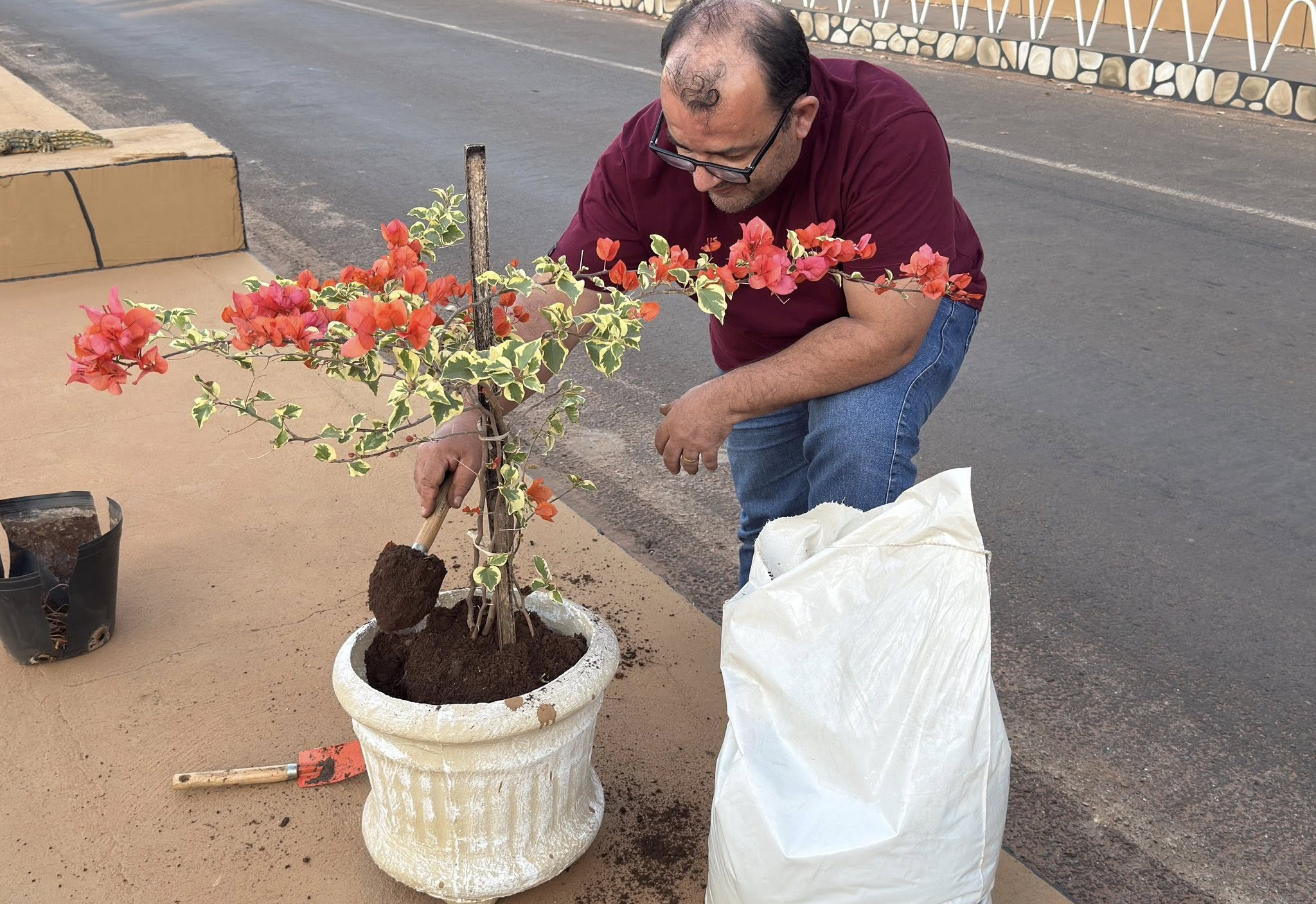 Praça da entrada da cidade recebe plantio de flores