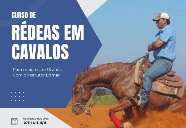 Curso de Rédeas em Cavalos