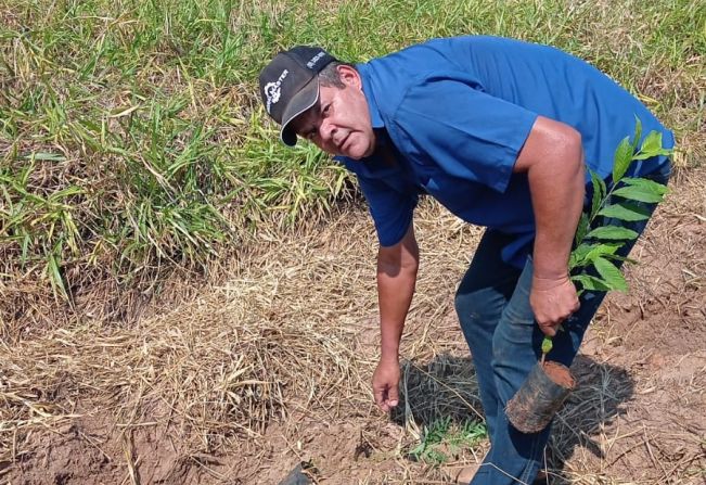 667 árvores nativas são plantadas no Distrito Industrial