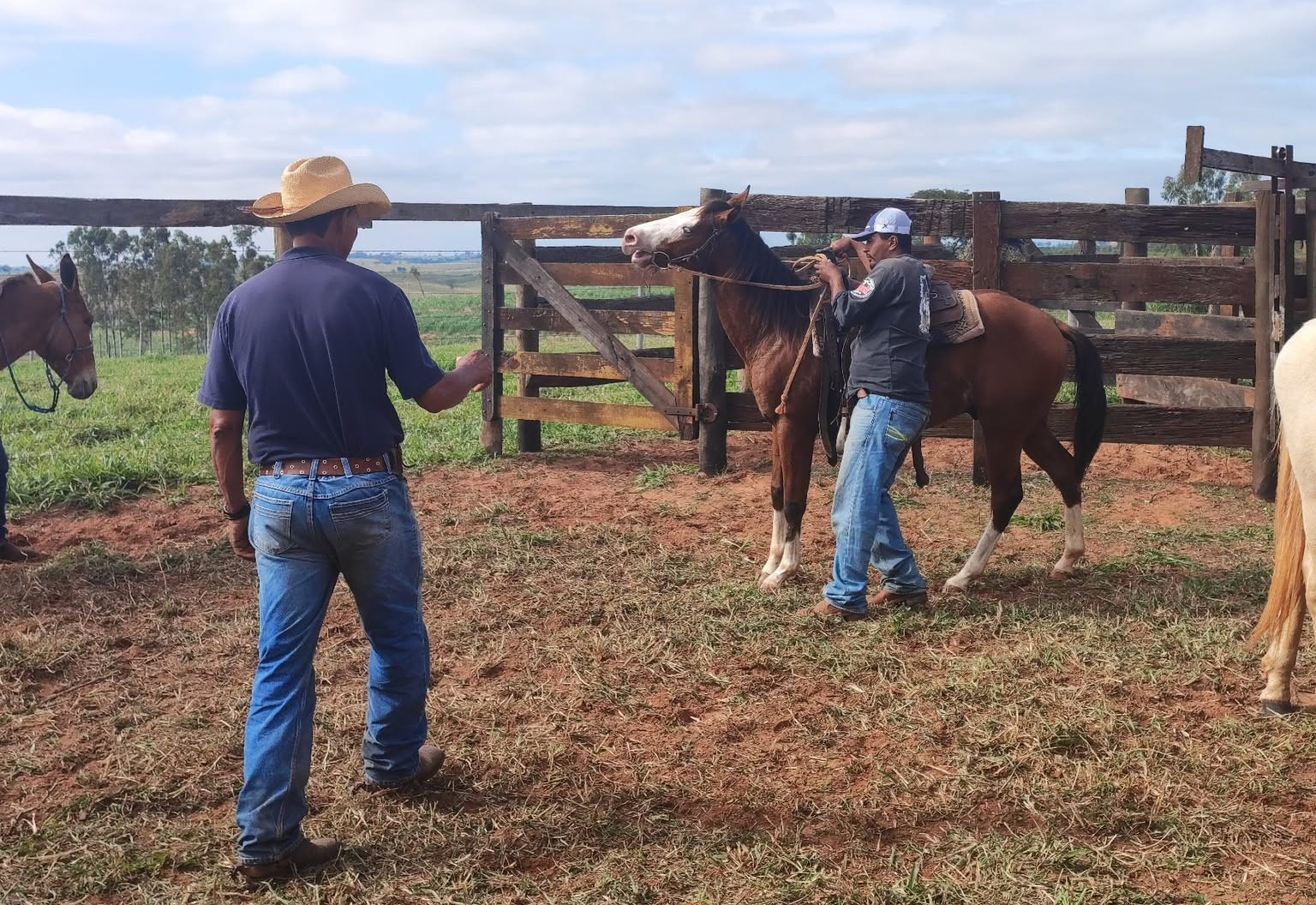 Curso de Doma de Animais tem início com foco no manejo consciente de cavalos