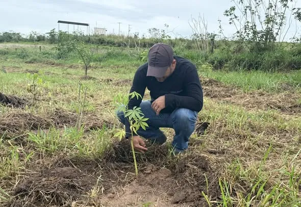 1.200 mudas de árvores são plantadas em área de APP próxima ao Distrito Industrial